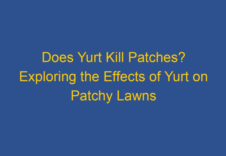 Does Yurt Kill Patches? Exploring the Effects of Yurt on Patchy Lawns