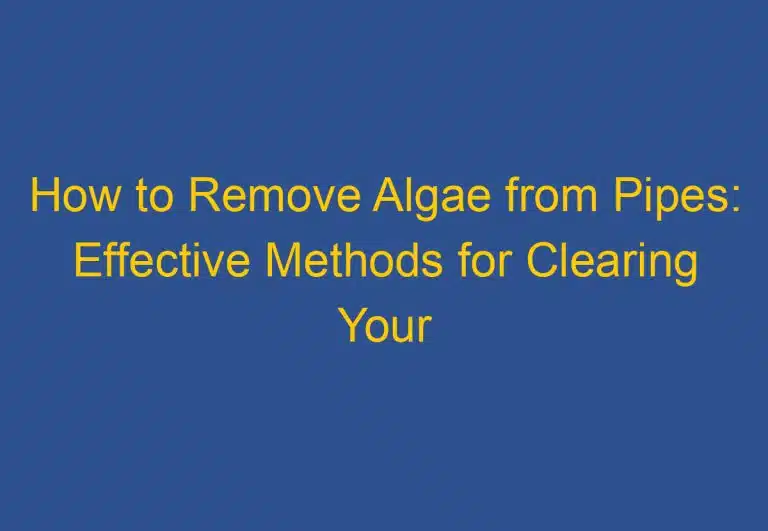 How to Remove Algae from Pipes: Effective Methods for Clearing Your Plumbing