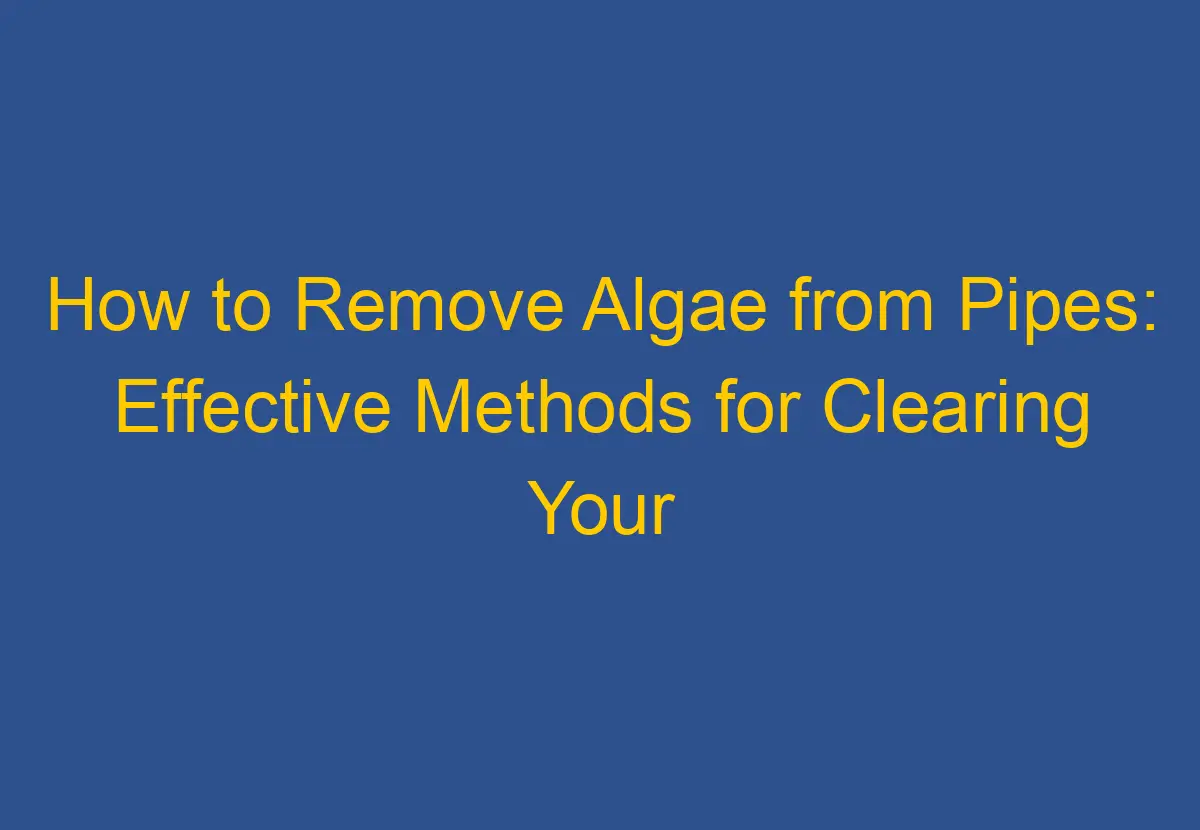 How to Remove Algae from Pipes Effective Methods for Clearing Your