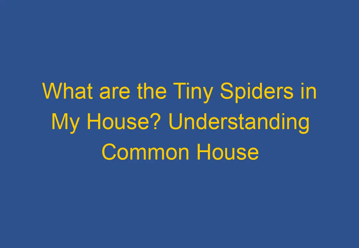 What are the Tiny Spiders in My House? Understanding Common House ...