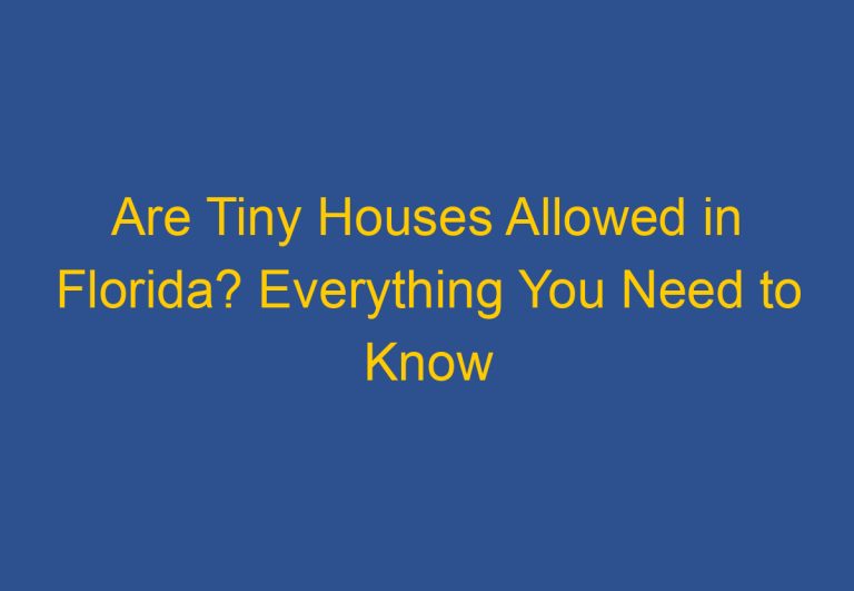 Are Tiny Houses Allowed in Florida? Everything You Need to Know