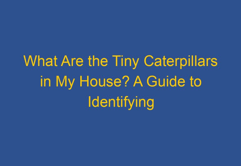 What Are the Tiny Caterpillars in My House? A Guide to Identifying and Managing Household Caterpillar Infestations