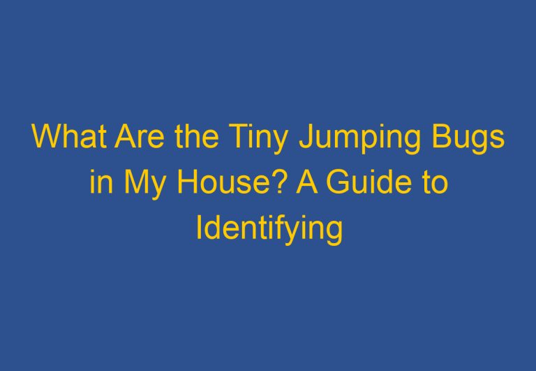 What Are the Tiny Jumping Bugs in My House? A Guide to Identifying and Dealing with Common Household Pests