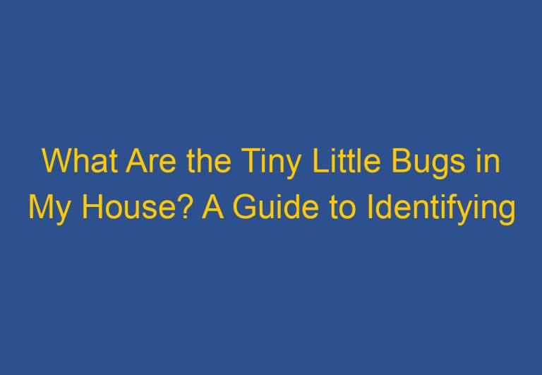 What Are the Tiny Little Bugs in My House? A Guide to Identifying Common Household Pests