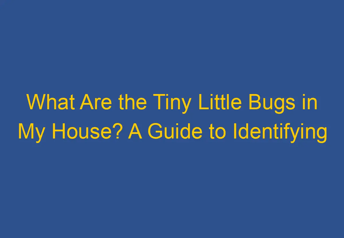 What Are the Tiny Little Bugs in My House? A Guide to Identifying ...