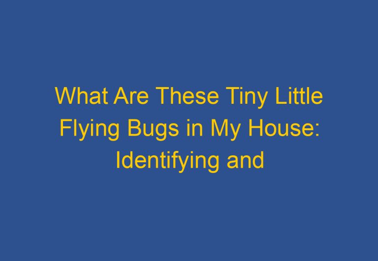 What Are These Tiny Little Flying Bugs in My House: Identifying and Dealing with Household Pests