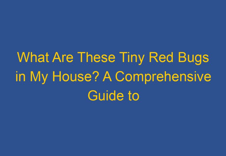 What Are These Tiny Red Bugs in My House? A Comprehensive Guide to Identifying and Dealing with Them