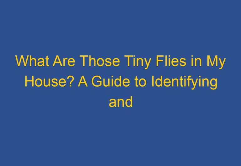 What Are Those Tiny Flies in My House? A Guide to Identifying and Eliminating Them