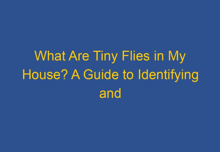 What Are Tiny Flies in My House? A Guide to Identifying and Eliminating Them