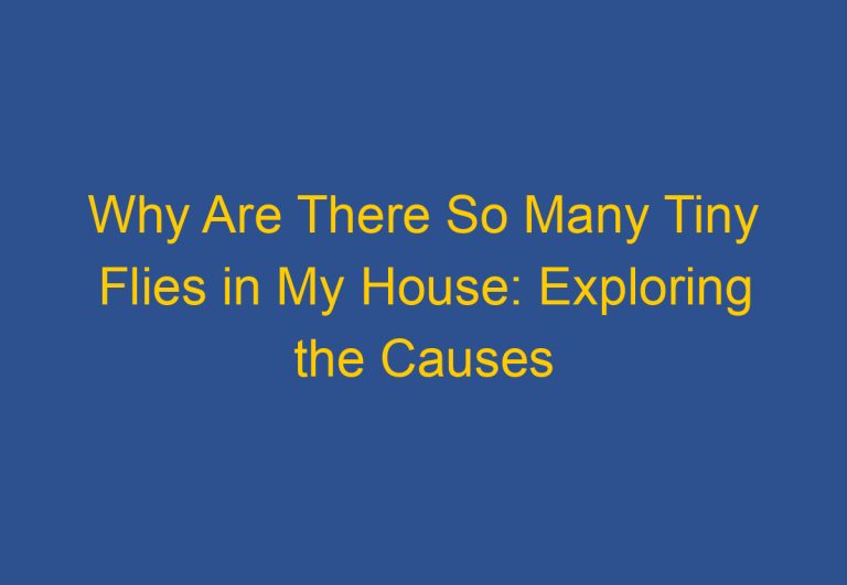 Why Are There So Many Tiny Flies in My House: Exploring the Causes and Solutions