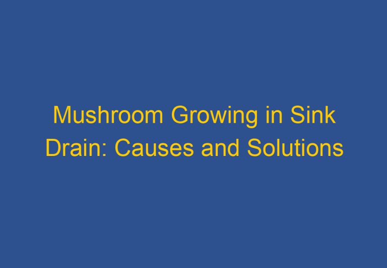 Mushroom Growing in Sink Drain: Causes and Solutions