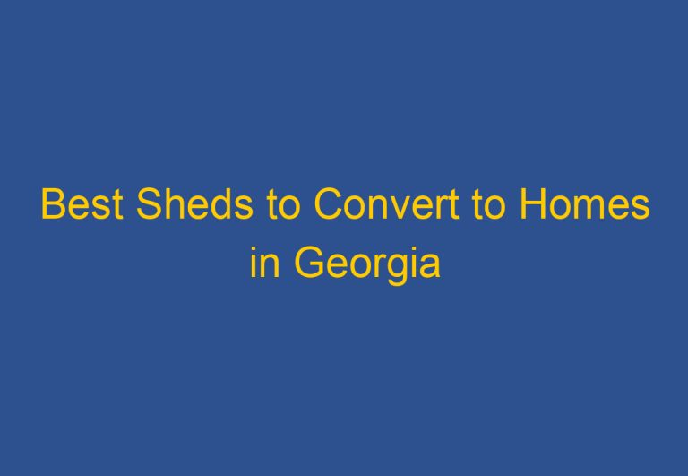 Best Sheds to Convert to Homes in Georgia