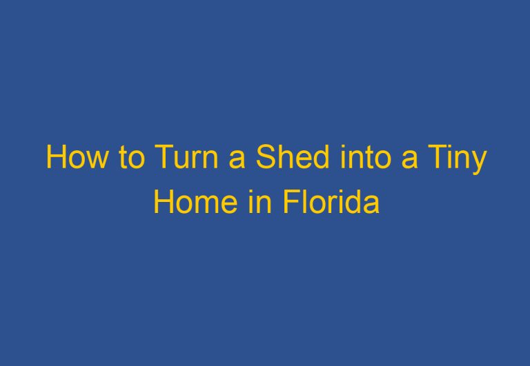 How To Turn A Shed Into A Tiny Home In Florida