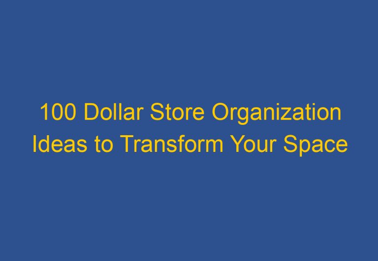 100 Dollar Store Organization Ideas to Transform Your Space