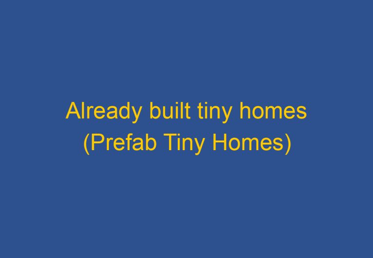 Already Built Tiny Homes (Top Prefab Tiny Houses)