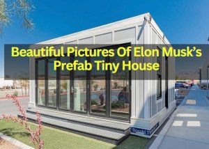 A Look Inside Elon Musk’s $50,000 Prefab Tiny House