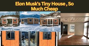 Elon Musk Tiny House Price