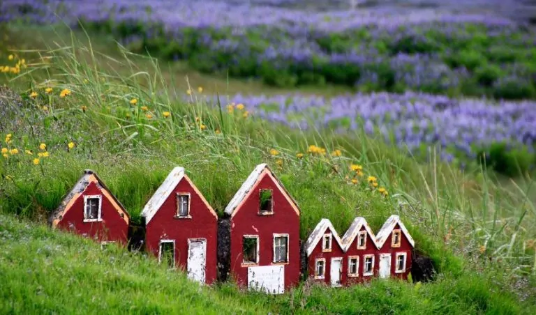 What state has the most tiny home communities