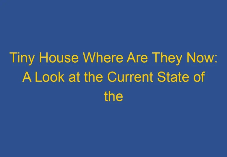 Tiny House Where Are They Now: A Look at the Current State of the Tiny House Movement