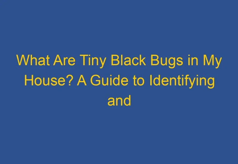 What Are Tiny Black Bugs in My House? A Guide to Identifying and Dealing with Common Household Pests